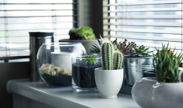 Jardinage à faible entretien : solutions pour les jardiniers occupés